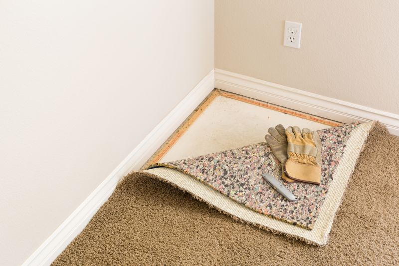 Carpet Cushion Replacement in Overland Park, KS
