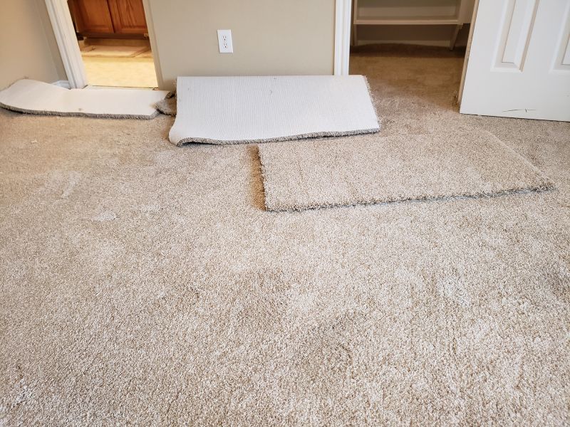 Commercial Carpet Repair in Kansas City, KS