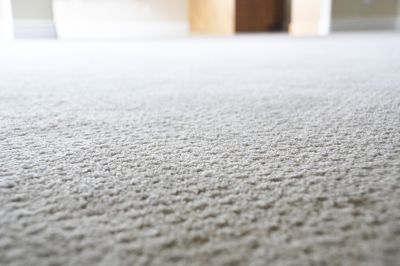 Extends Carpet Lifespan