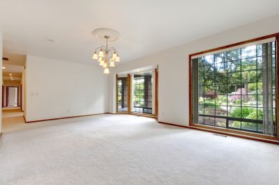 Stain and Spot Removal